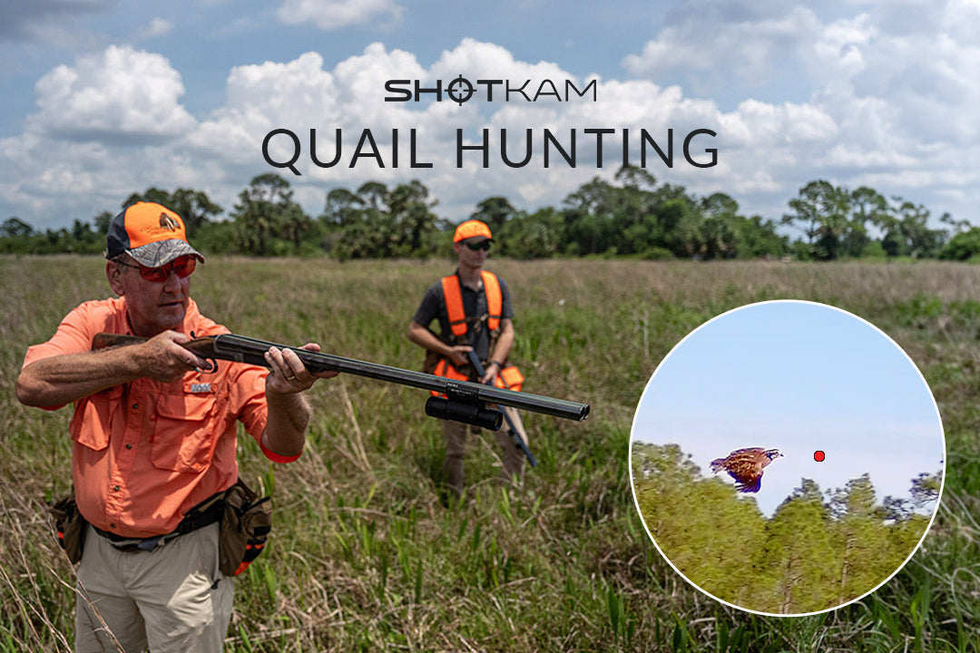 Quail hunting in Europe: Hunter with a ShotKam-equipped shotgun, focusing on a quail mid-air during a countryside hunt.