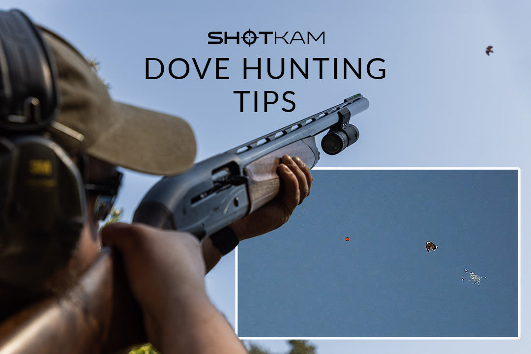 Dove hunting essentials in Europe: Close-up of a hunter using a ShotKam-mounted shotgun, with a dove in flight.