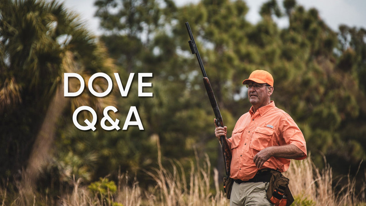David Stewart in an orange hunting shirt and cap, holding a shotgun beside the title “Dove Q&A.”