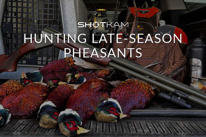 European hunter's gear and ShotKam shotgun laid out with a collection of late-season pheasants in a vehicle's boot.